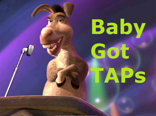 Donkey_baby_got_Taps